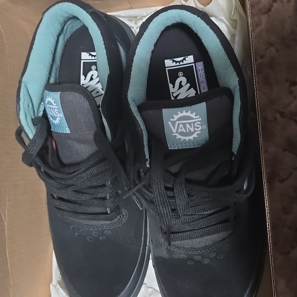 Vans Men's Black and Teal Shoes